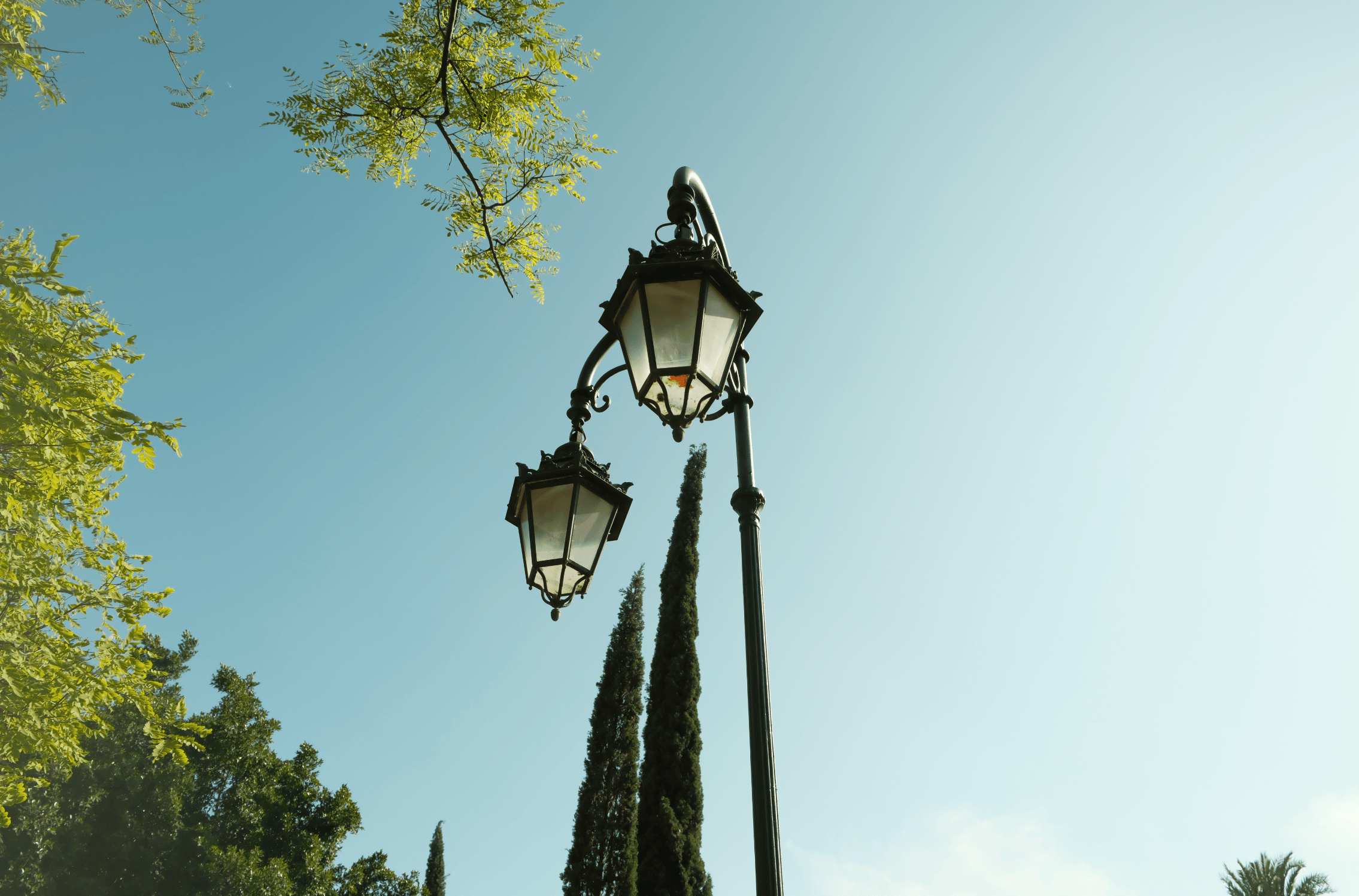 Palma, Mallorca — May, 2024 — Fujifilm X-T5