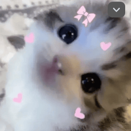 ♥️