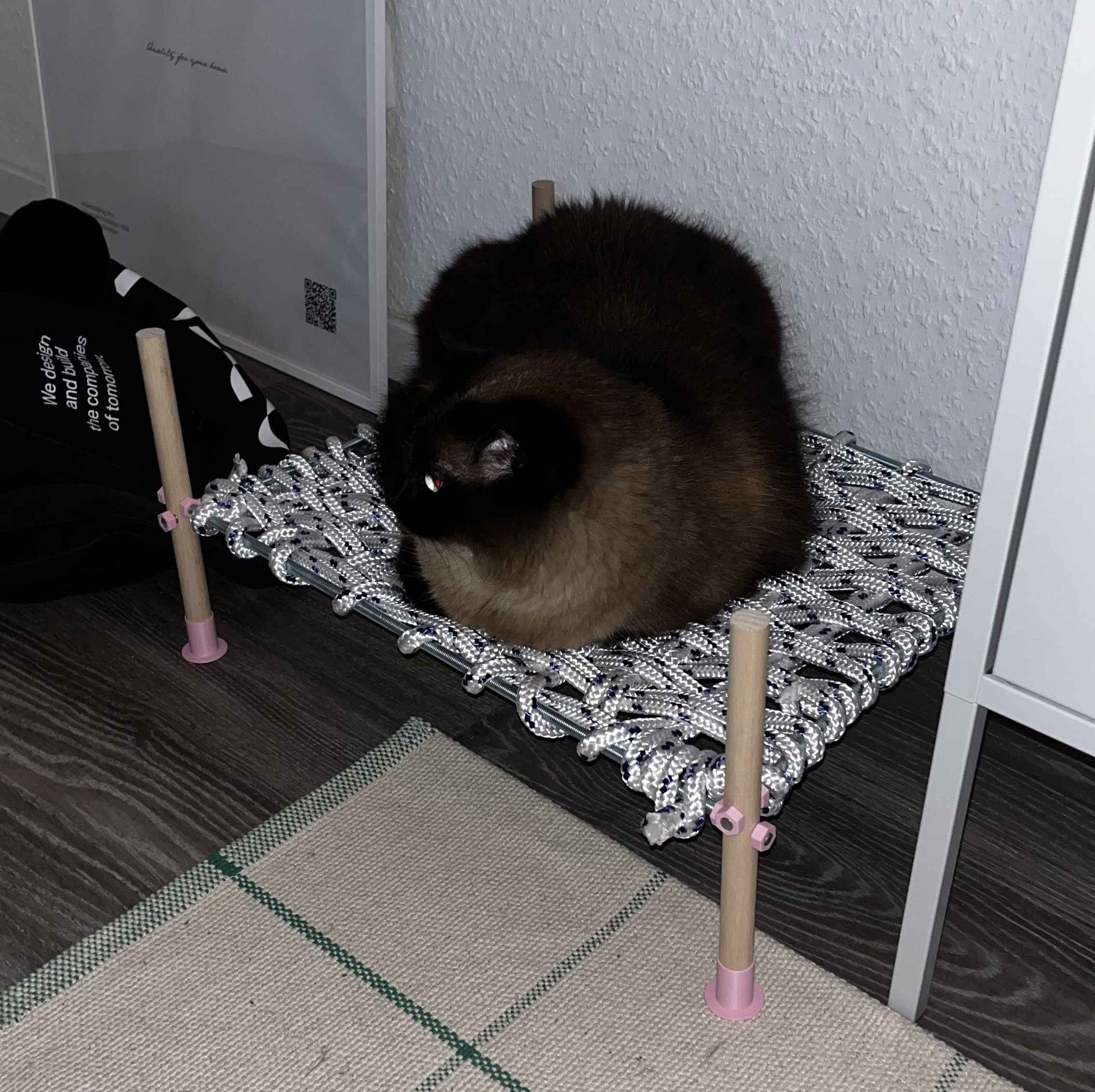 Design autoral de caminha de gato